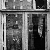 Лучшее в России 2012: год из жизни России в самых ярких и неординарных фотографиях