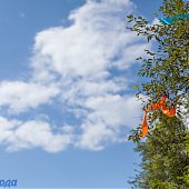 Фестивальная деревня Меридианов