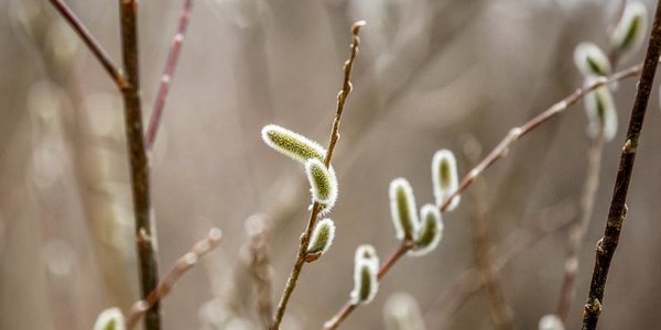 В ближайшие дни похолодание в Приморье продолжится