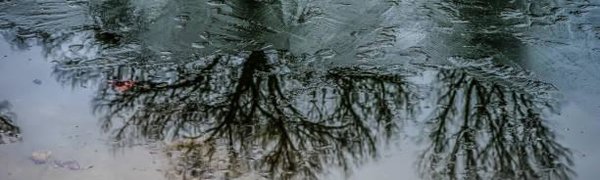 Большинство рек Приморья освободилось ото льда