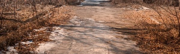 Снега не будет: синоптики уточнили прогноз на выходные в Приморье