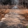 Снега не будет: синоптики уточнили прогноз на выходные в Приморье