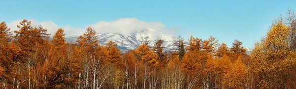 После ночных заморозков в Приморье потеплеет