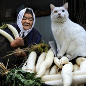 Неразлучные друзья