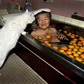 Неразлучные друзья