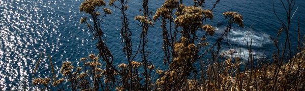 В ближайшие сутки во Владивостоке похолодает