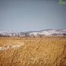 В первый рабочий день года в Приморье была комфортная погода