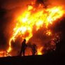 Информации об экологической опасности для России в связи с пожаром на химзаводе в КНР не сообщают