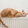 Тепло в дома владивостокцев начнёт поступать с 25 октября