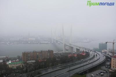 Неустойчивая погода ожидается в Приморье в начале следующей недели