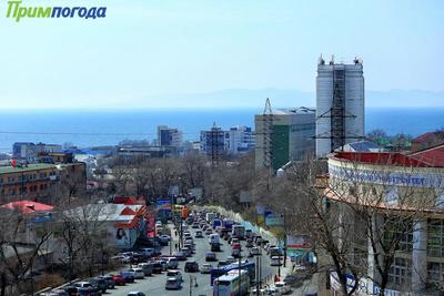 Сегодня во Владивостоке изменится движение транспорта из-за приезда Ким Чен Ына