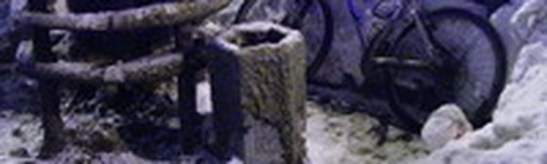 Петербург ставит новый снежный рекорд