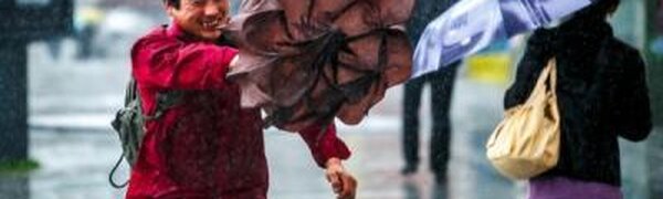 Дождь и сильный ветер пришли в Приморье в пятницу