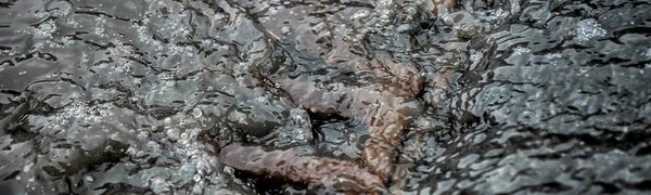 Во Владивостоке наиболее сильный дождь ожидается в среду