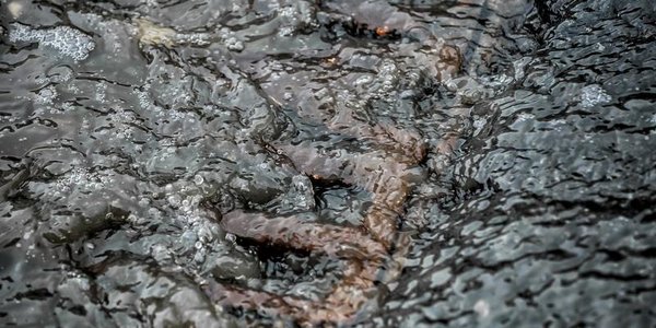 Во Владивостоке наиболее сильный дождь ожидается в среду