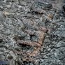 Во Владивостоке наиболее сильный дождь ожидается в среду