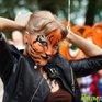 День Тигра: Полосатый информационный ресурс