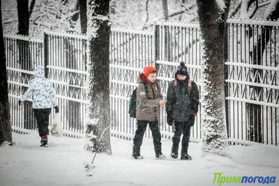 Циклон принёс небольшой снег и незначительное потепление в Приморье