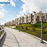 Во Владивостоке появилась Леопардовая набережная