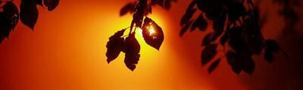 Атмосферные фронты покинут Приморье ночью в среду, дожди прекратятся