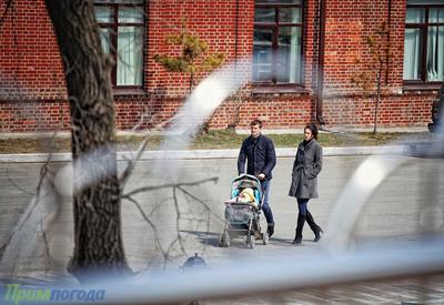 В воскресенье воздух в Приморье прогреется до +15 °С