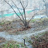 Осень или зима: Ваши ставки (ФОТО)