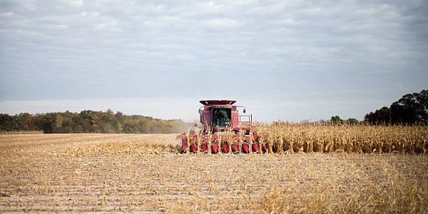 Ущерб от холодного лета для аграриев оценили в 2,6 млрд руб.