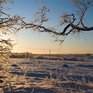В выходные в Приморье усилятся морозы