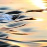 На большинстве рек Приморья отмечается спад уровня воды