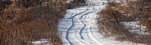 На востоке Приморья выпало до 4 декадных норм снега