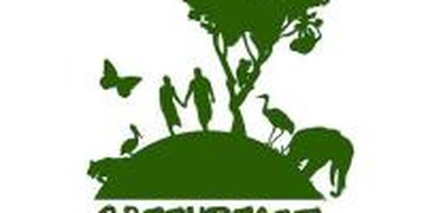 Greenpeace борется с энергетиками Бразилии навозом