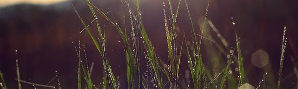 В выходные в Приморье прошли грозовые дожди