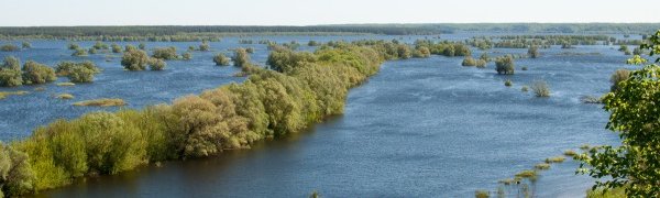 Паводковая ситуация в Приморье стабилизируется