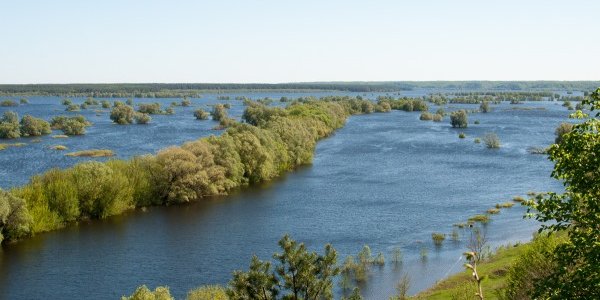Паводковая ситуация в Приморье стабилизируется