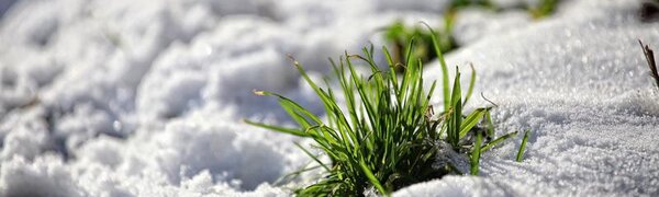 От морозов к оттепели: всё о погодных качелях на этой неделе в Приморье