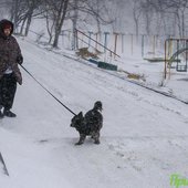 Максимальное ухудшение погоды в Приморье ожидается вечером 22 декабря