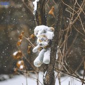 Максимальное ухудшение погоды в Приморье ожидается вечером 22 декабря