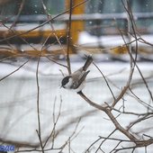 Максимальное ухудшение погоды в Приморье ожидается вечером 22 декабря