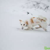 Максимальное ухудшение погоды в Приморье ожидается вечером 22 декабря