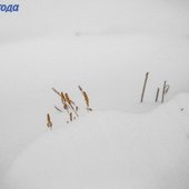 Максимальное ухудшение погоды в Приморье ожидается вечером 22 декабря