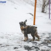Максимальное ухудшение погоды в Приморье ожидается вечером 22 декабря