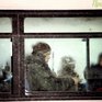 В Приморье из-за снегопада отменяют автобусные рейсы