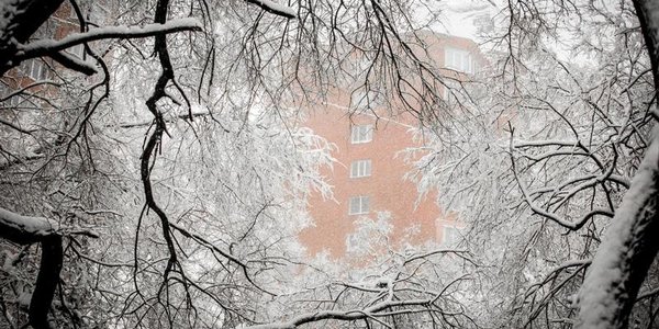 Максимальное ухудшение погоды в Приморье ожидается вечером 22 декабря