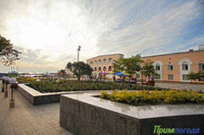 В Приморье начало расти атмосферное давление