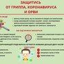 Профилактика гриппа и коронавирусной инфекции (ИНФОГРАФИКА)