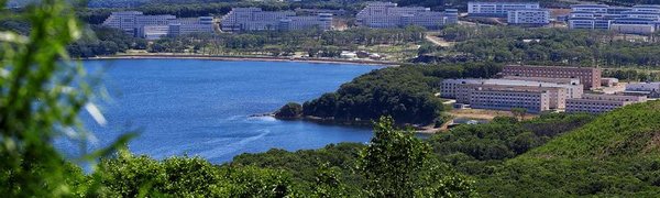 Жаркая погода сохраняется в Приморье и Владивостоке