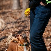 В конце марта ясная и тёплая погода в Приморье сменится дождями