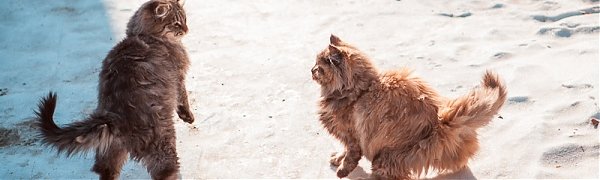 Вторая декада декабря в Приморье выдалась экстремально холодной и снежной