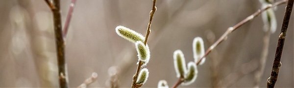В предстоящие выходные в Приморье заметно потеплеет