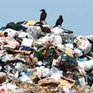 Стартовала рекультивация свалки Горностай